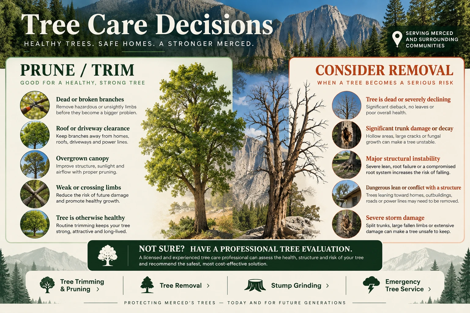 Tree pruning versus removal guide showing signs a Merced property owner may need pruning or tree removal